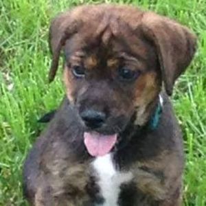 Meet your Posher, Eileen